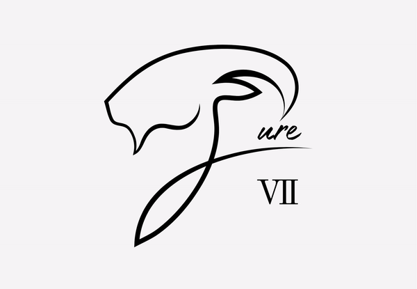 Pure Seven